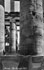 321 - Karnak - The Hypostyle Hall
