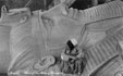 179 - Head of the Statue Ramses II