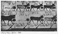 908 - Thebes - Tomb of Queen Nefertari