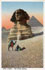 2047 - Cairo - The Great Sphinx