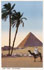 2048 - Cairo - The Pyramids