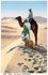 2069 - Egypt - the Prayer in the Desert