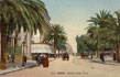 614 - Tunis - Avenue Jules Ferry