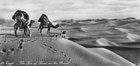 87 - Egypt - The Sea of Sand in the Desert