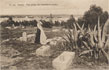 329 - Tunis - Vue prise du cimetière arabe